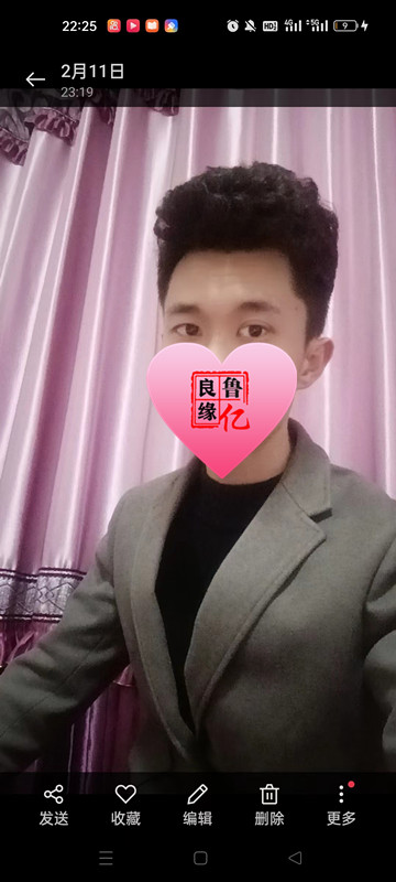政